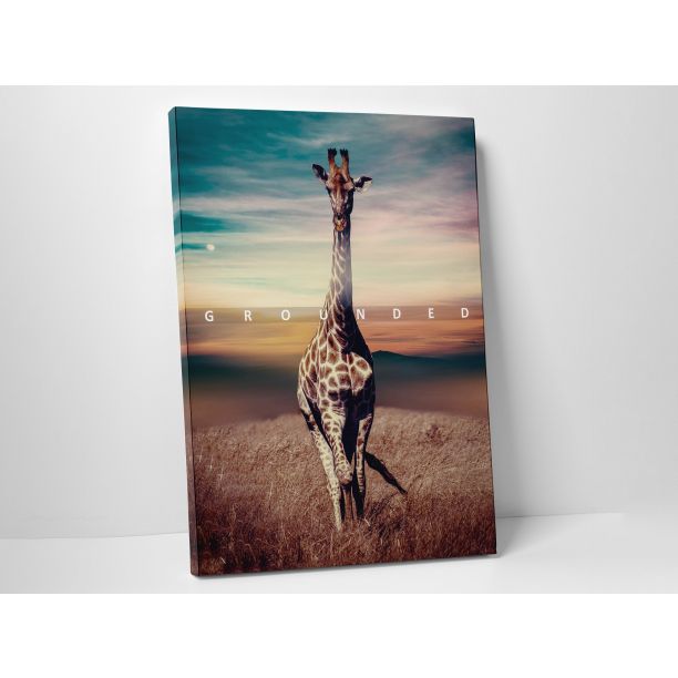 Square Canvas Prints