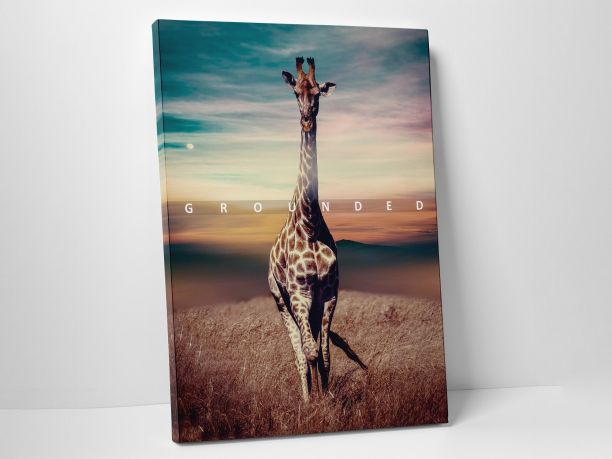 Square Canvas Prints