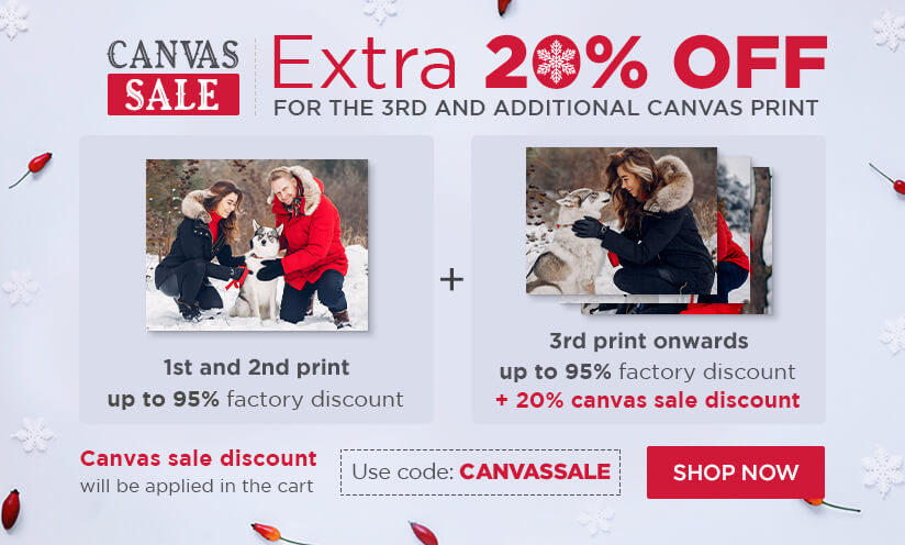  Canvas Sale!