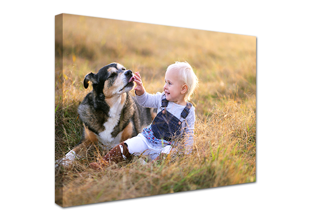 Pets Photos On Canvas