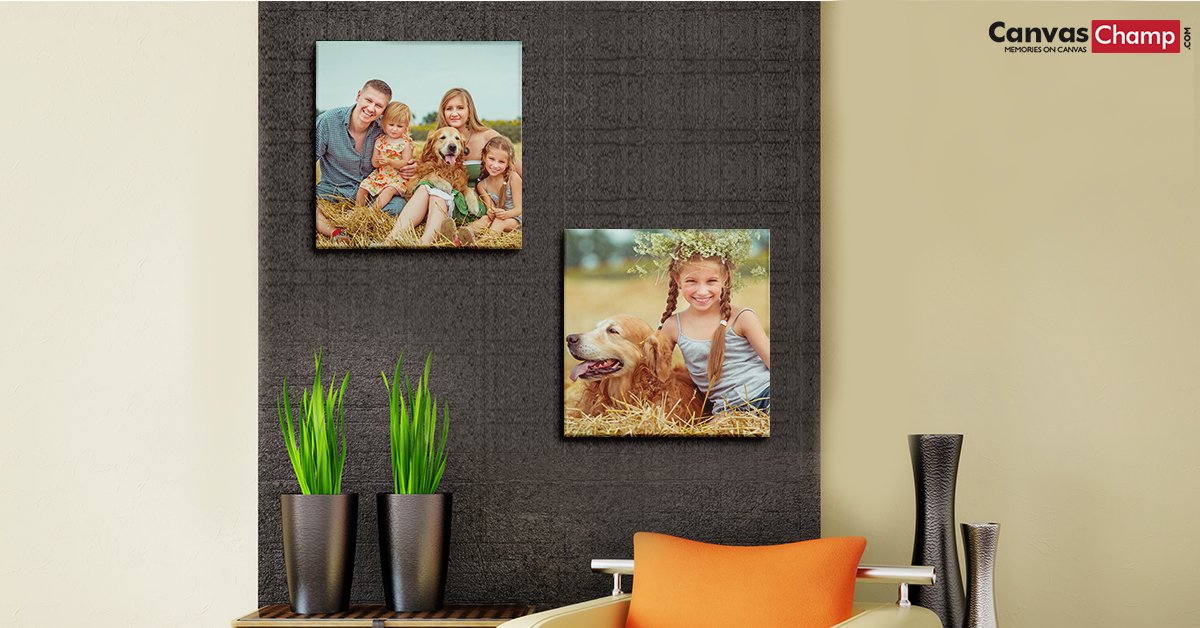 Pet Canvas Prints