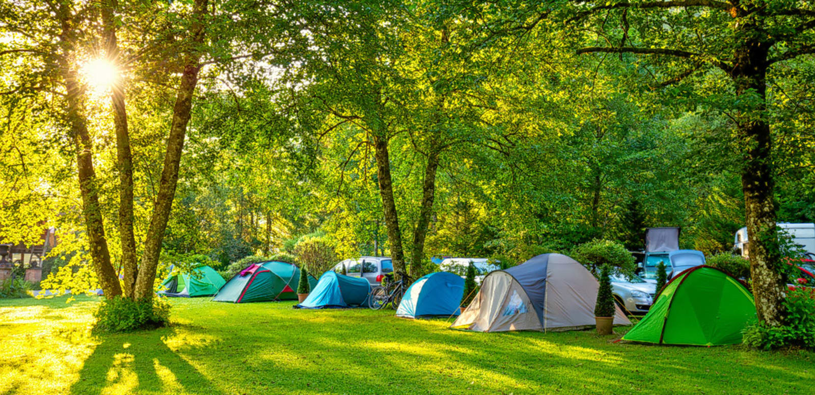 Go Camping