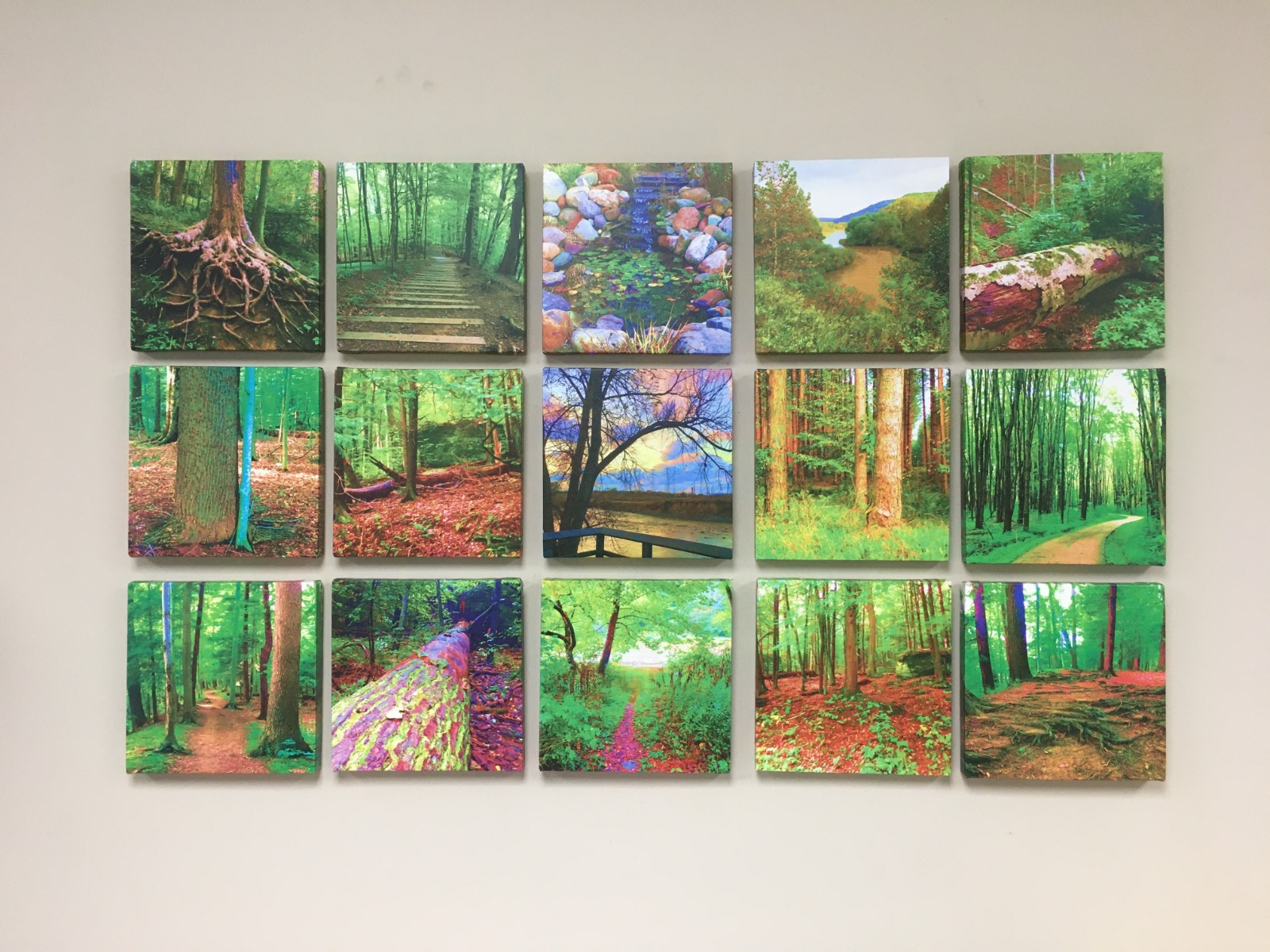 canvas prints