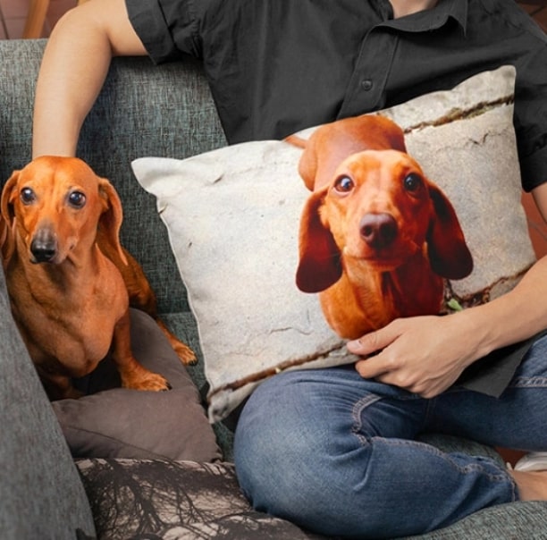 Custom Pet Pillow