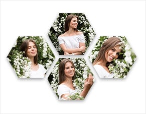 Hexagonal Canvas Prints