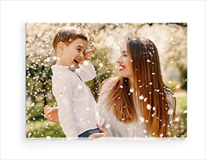 Large Canvas Prints