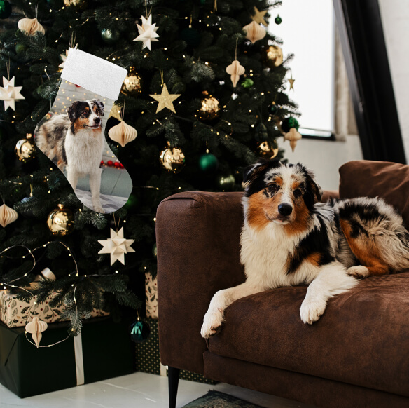 Stocking Stuffers Dog Christmas Stocking Ideas Stuffer Ideas For