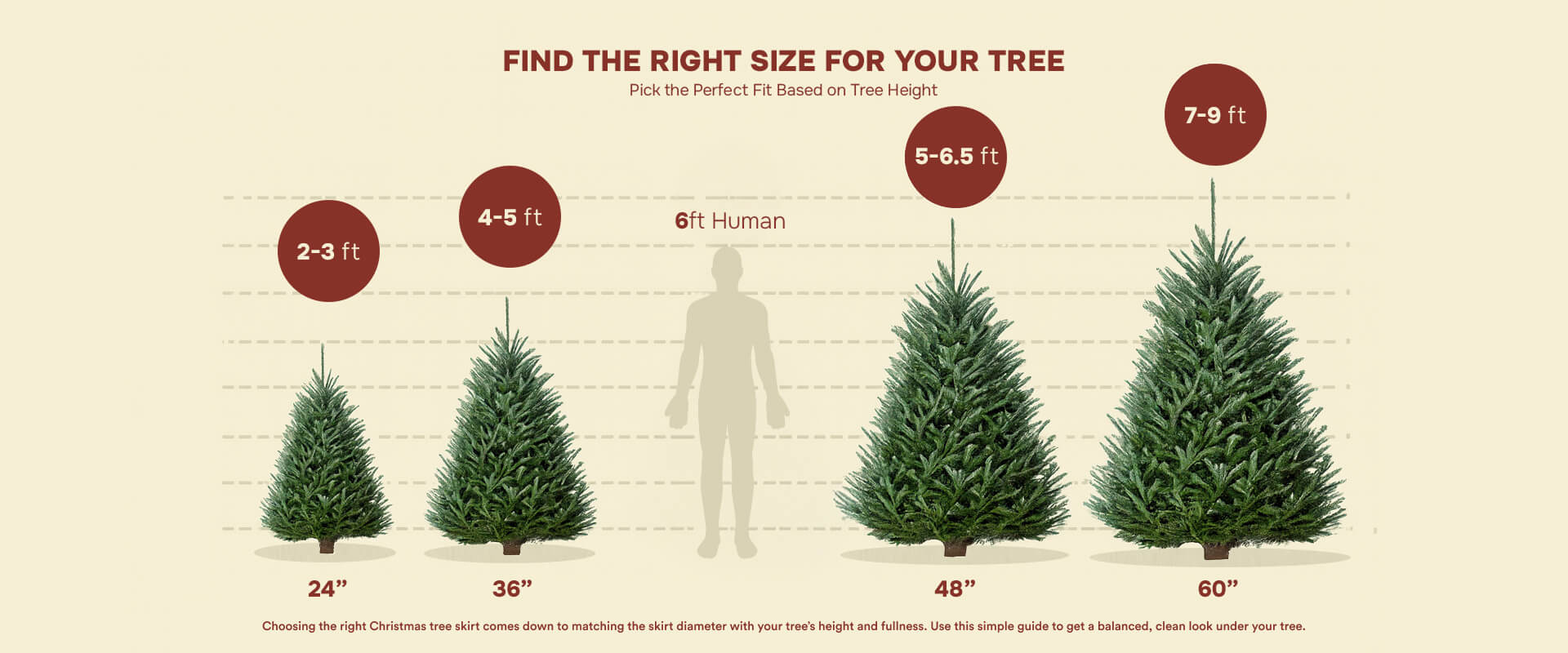 Find the Right Size for Your Tree
