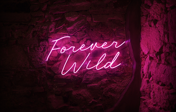 Custom LED Neon Sign Sizes to Choose From