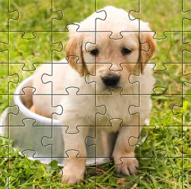 Custom Pet Photo Puzzles