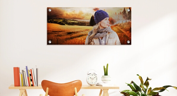 Explore All CanvasChamp Has to Offer