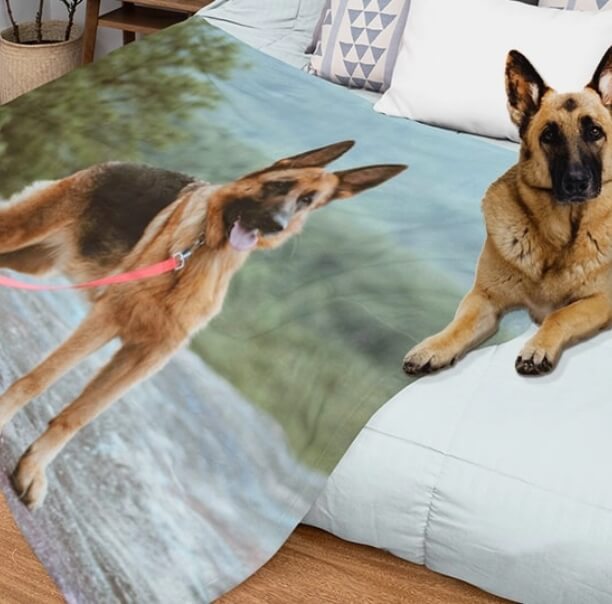 Custom-Photo-Blankets