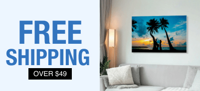 FREE SHIPPING OVER $49