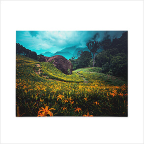 Nature and Scenic Shots