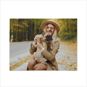 Pet Photography