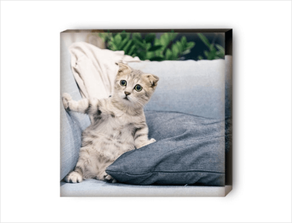 pet acrylic photo block