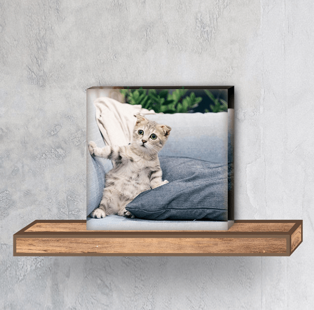 Custom Pet Photo Puzzles