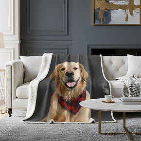 Custom Pet Blanket