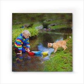 Pet Canvas Prints