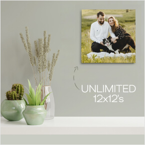 UNLIMITED 12x12's - Just $8.99/ea