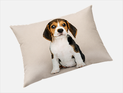 Custom Pet Pillow