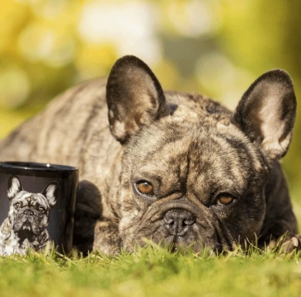 Black Photo Mug